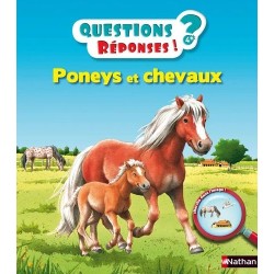 Questions/réponses - Poneys...