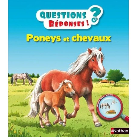 Questions/réponses - Poneys et chevaux