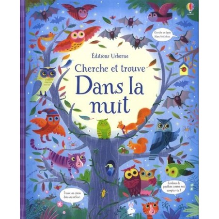 Cherche et trouve - Dans la nuit