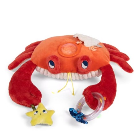 Grand crabe d'activité