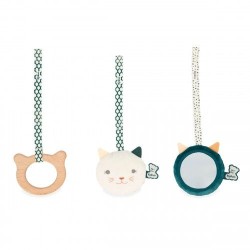 Set d'accessoires...