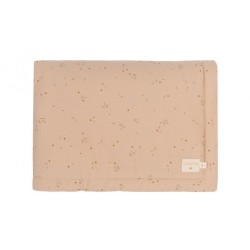 Couverture Laponia