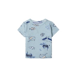 T-shirt CM - Bay - Arona