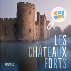 Zoom ! Les châteaux forts