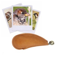 Appeau du moineau