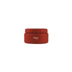 Foodjar 250ml - Brick