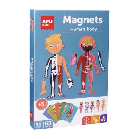 Magnets - Corps humain - 63 pcs