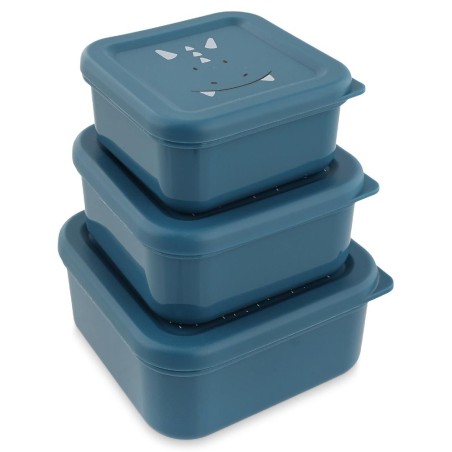 Set de 3 snack box - Mr. Tricératops
