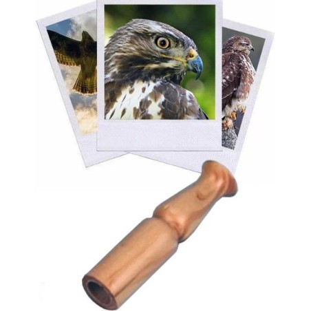 Appeau - Buse Variable