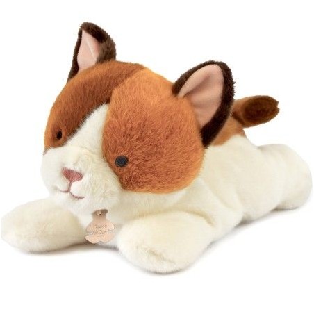 Les p'tits relax - Chat Moyen