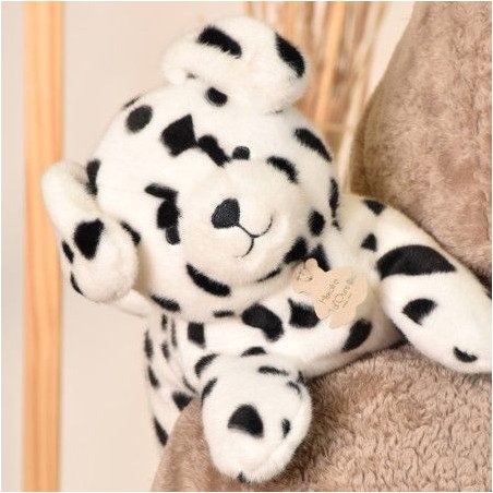 Les p'tits relax - Dalmatien Moyen