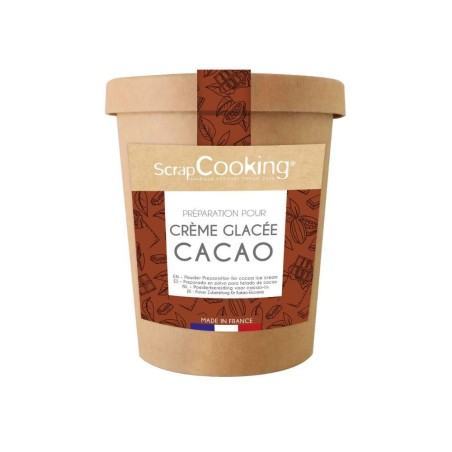 Préparation pour crème glacée cacao