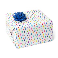 Rouleau papier cadeau -...