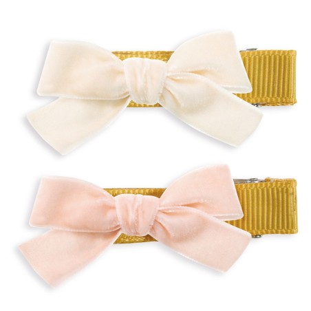 Plume - 2 Barrettes Alicia