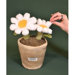 Doudou botannique - Marguerite