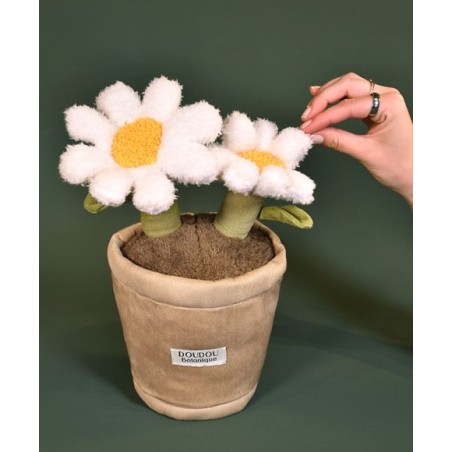 Doudou botannique - Marguerite
