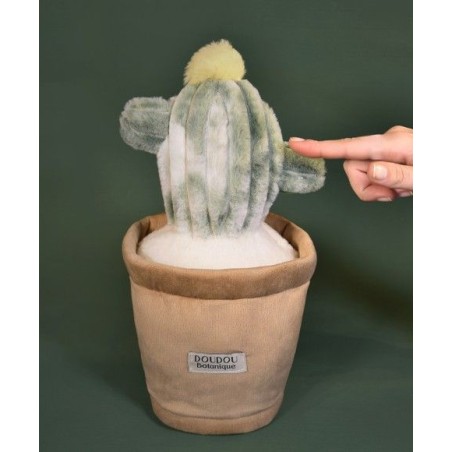 Doudou botannique - Cactus