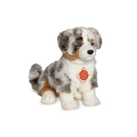 Berger australien 30 cm