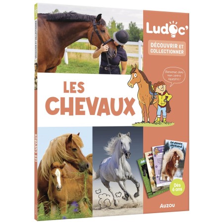 Ludoc' - Les chevaux