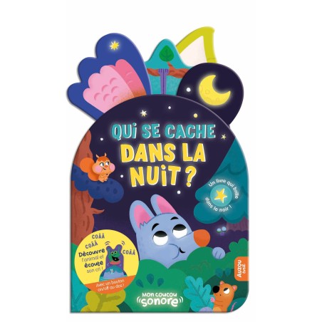 Qui se cache dans la nuit ?