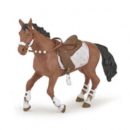 Cheval de la cavalière Fashion Hiver