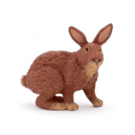 Lapin marron