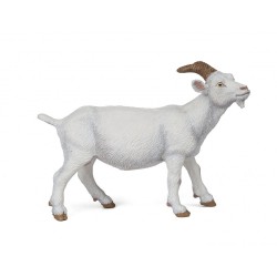 Chèvre blanche