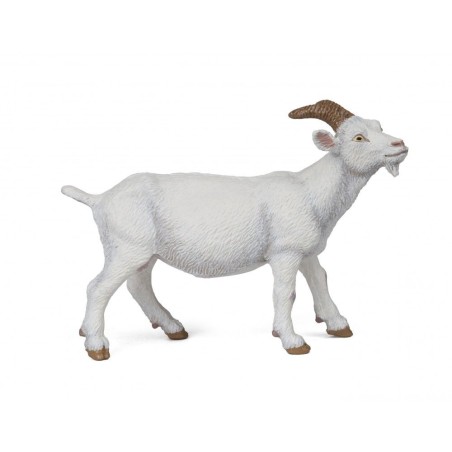 Chèvre blanche