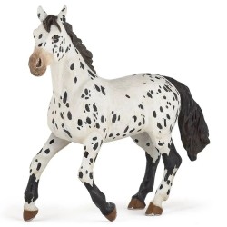 Cheval Appaloosa noir