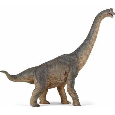 Brachiosaure