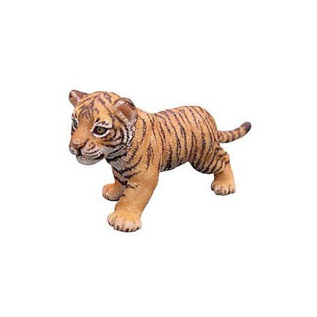 Bébé tigre
